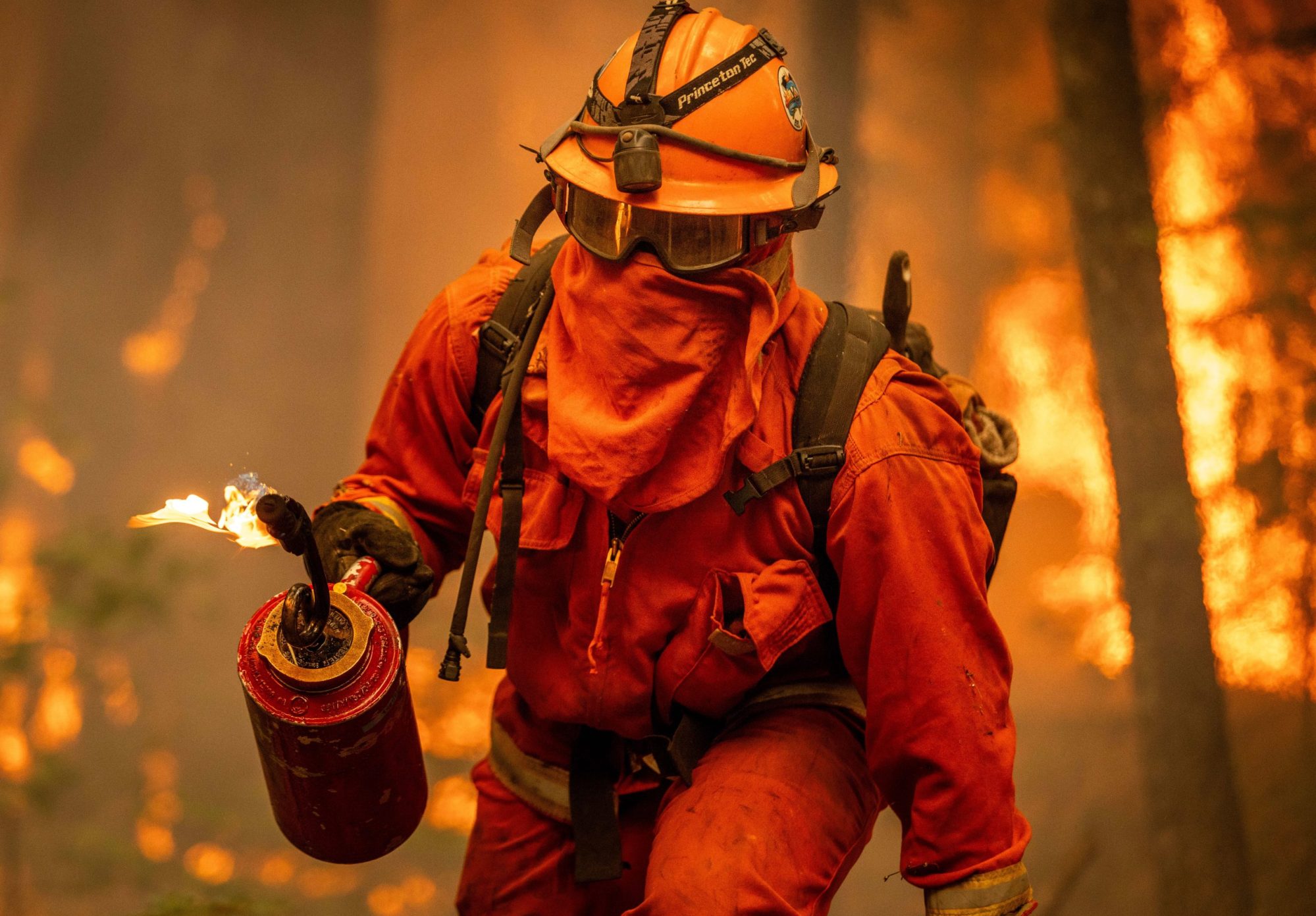 An inmate firefighter uses a drip torch as the Park Fire burns on August 7, 2024 in Mill Creek, California. Photo by Ethan Swope/Getty Images