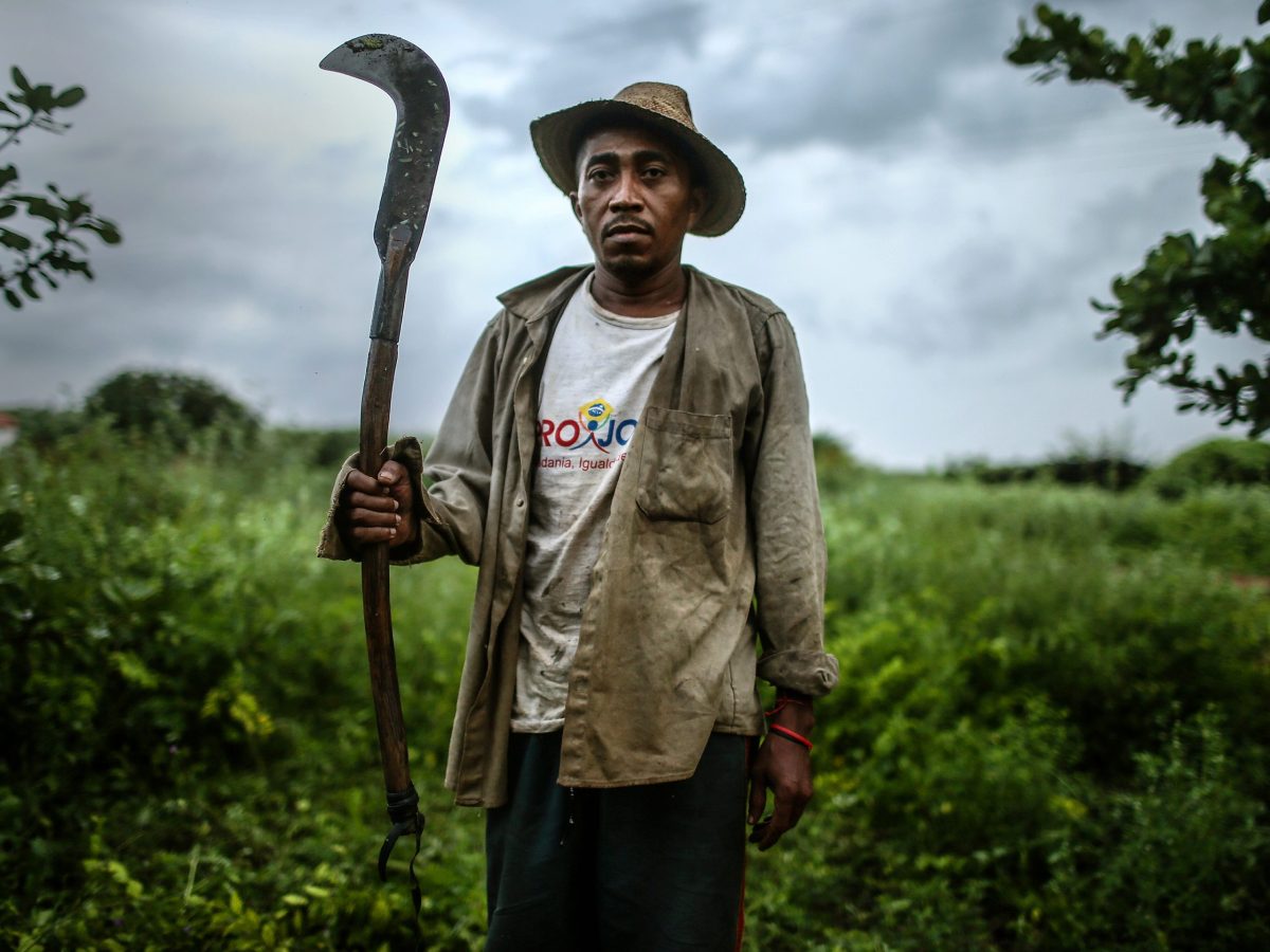 These Brazilian farmworkers escaped slavery, now they’re taking back the land